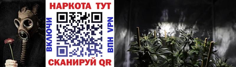 Названия наркотиков Новоалтайск КОКАИН  Меф мяу мяу  НБОМе  ГАШ 